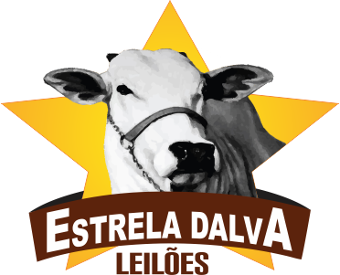 Estrela Dalva Leilões